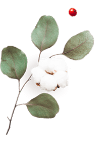 https://naszaodpowiedz.pl/wp-content/uploads/2020/10/floating_image_06.png