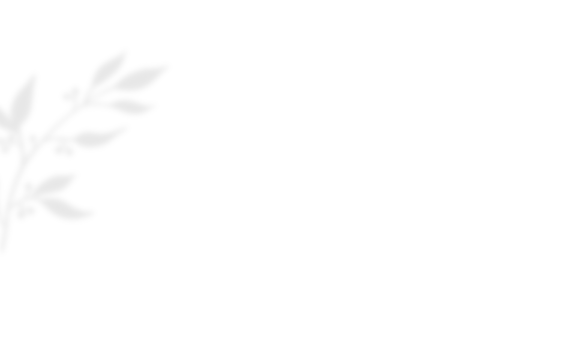 https://naszaodpowiedz.pl/wp-content/uploads/2020/10/shadow_leaves_03.png