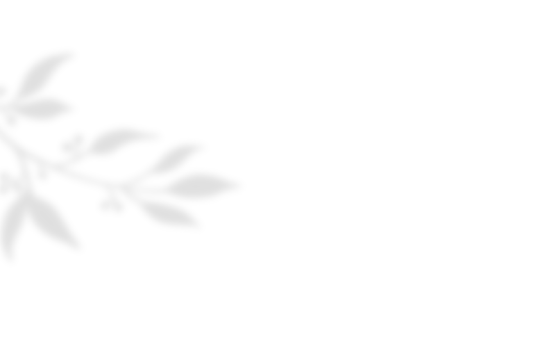 shadow_leaves_04 https://naszaodpowiedz.pl/wp-content/uploads/2020/10/shadow_leaves_04.png