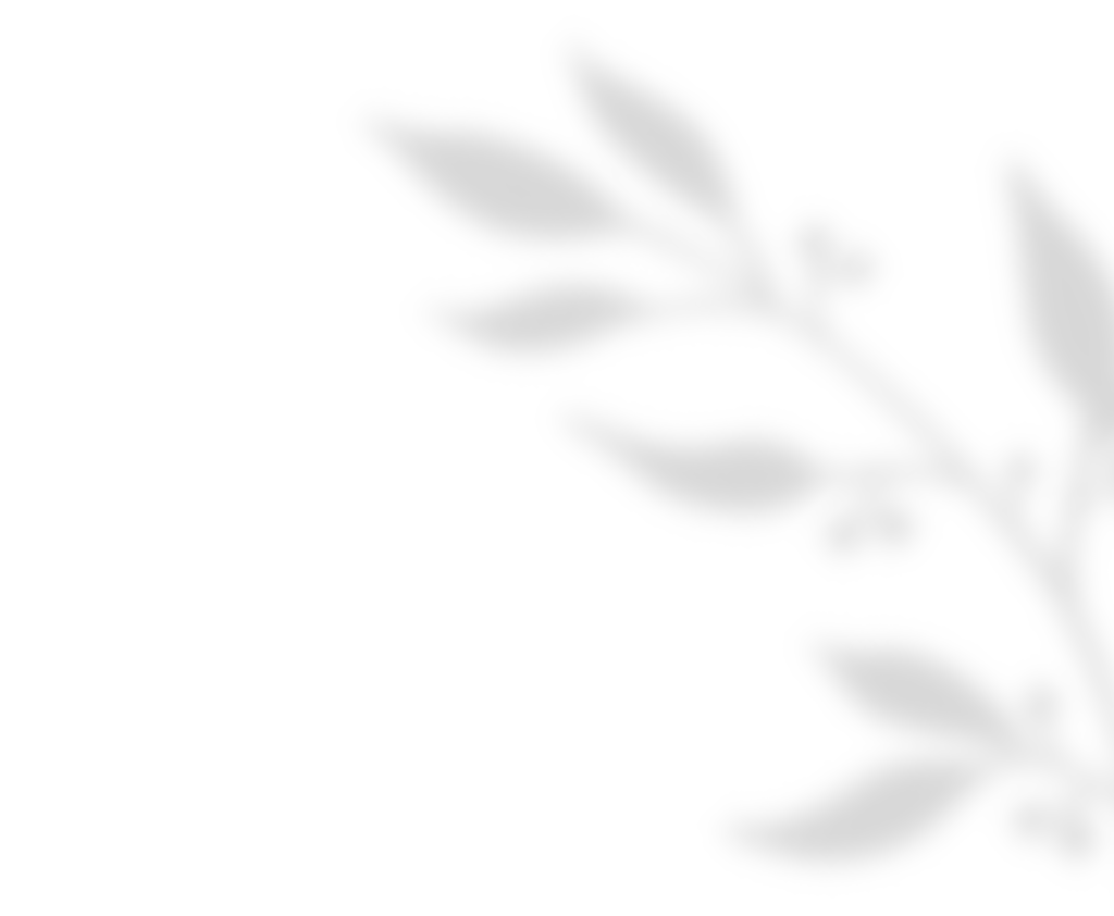 https://naszaodpowiedz.pl/wp-content/uploads/2020/11/shadow_leaves_01.png