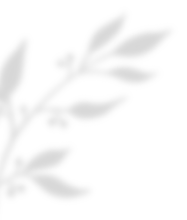 https://naszaodpowiedz.pl/wp-content/uploads/2020/11/shadow_leaves_02.png