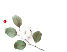 https://naszaodpowiedz.pl/wp-content/uploads/2020/12/floating_image_flower_01.png