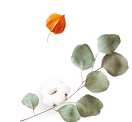 https://naszaodpowiedz.pl/wp-content/uploads/2020/12/floating_image_flower_02.png