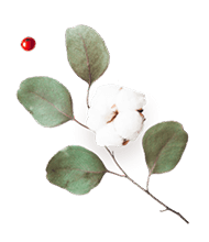 https://naszaodpowiedz.pl/wp-content/uploads/2020/12/floating_image_flower_03.png
