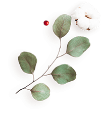 https://naszaodpowiedz.pl/wp-content/uploads/2020/12/floating_image_flower_04.png