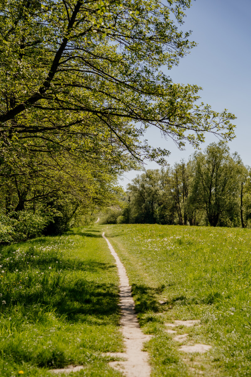 https://naszaodpowiedz.pl/wp-content/uploads/2026/08/Nasza-odpowiedz-144.jpg