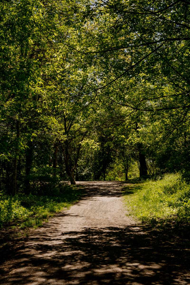 Nasza odpowiedź-158 https://naszaodpowiedz.pl/wp-content/uploads/2026/08/Nasza-odpowiedz-158.jpg